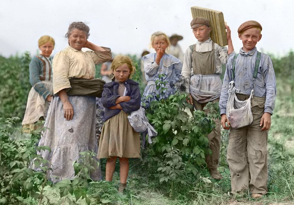 Ein altes Foto zeigt eine Familie, eine Großmutter mit Enkeln beim Beerenpflücken.